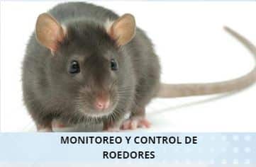 CONTROL DE ROEDORES